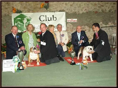 Fashion-Bull's - NATIONALE ELEVAGE BULLDOG ANGLAIS 2010